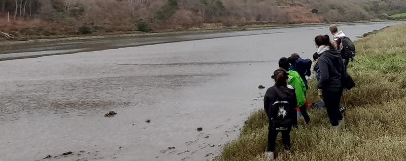 Sortie nature Hors des sentiers battus | La Roche Jagu